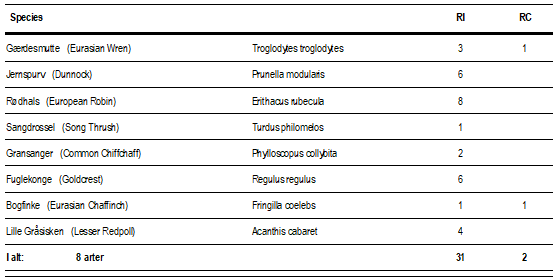 03.04.2025_Ringing.png