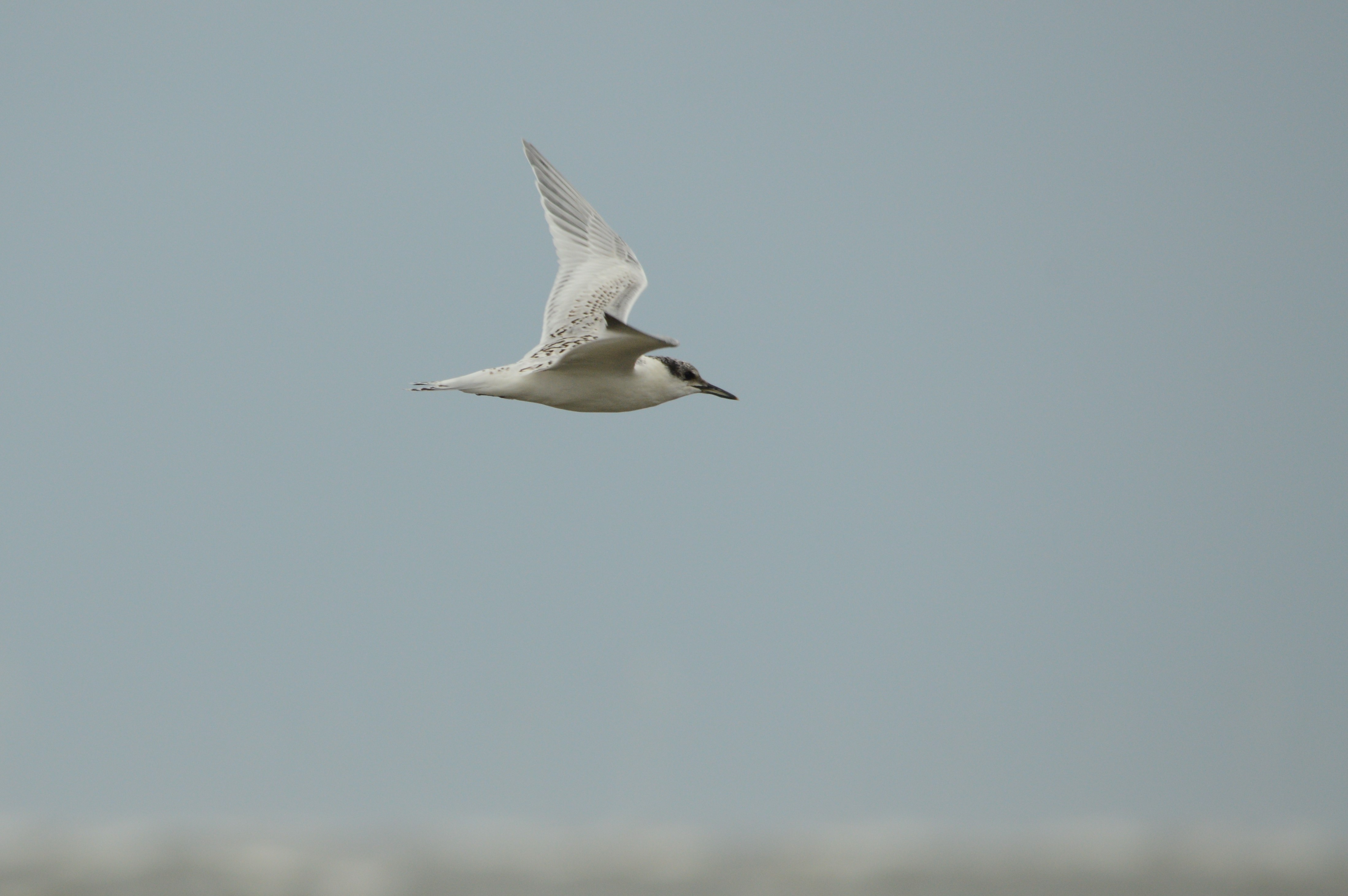 19.07.2021_Blavand_Denmark_104.JPG