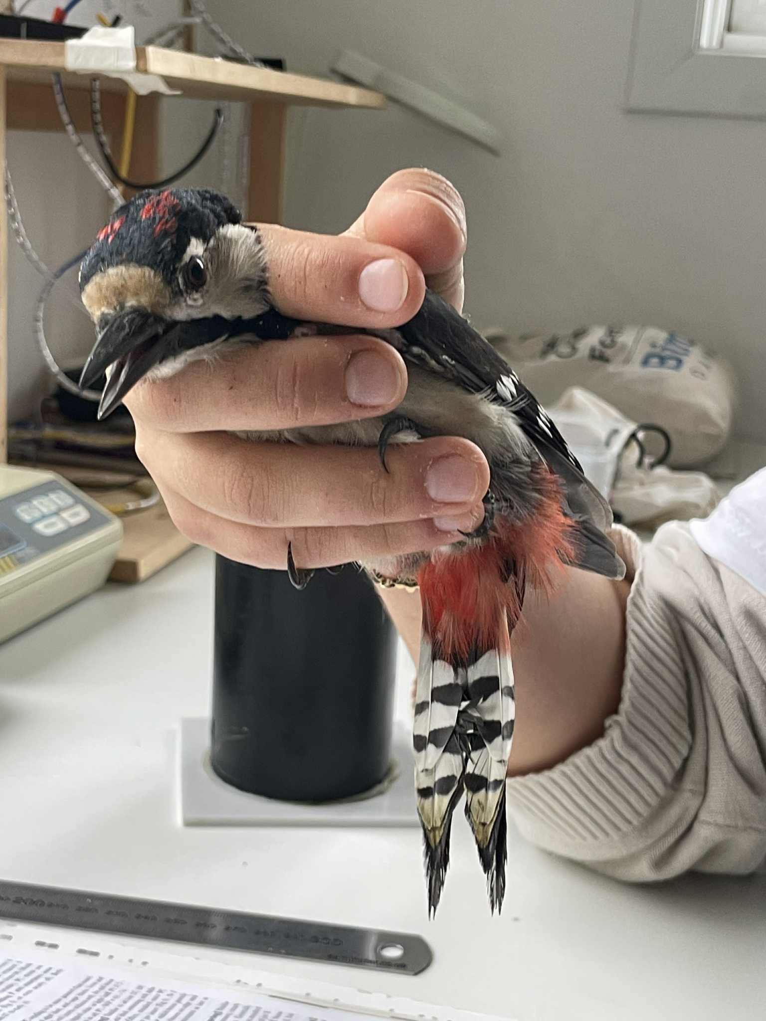 3dcb46f3 5809 49ea 9dc2 4cd6cc470746