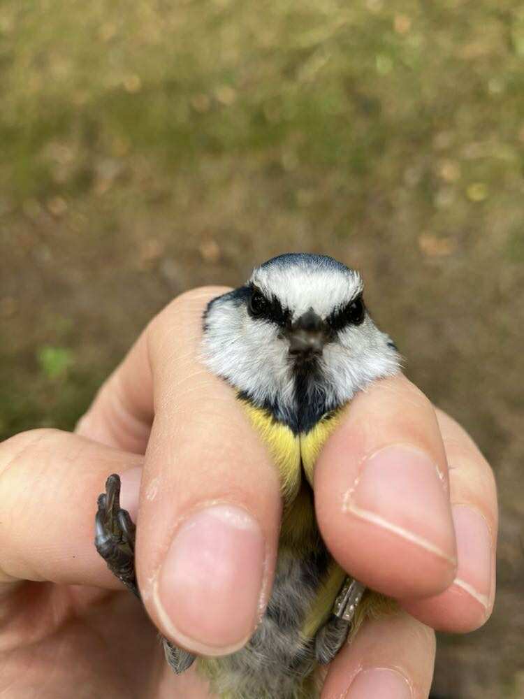 551323229 1212083160747419 5048907072519751011 n