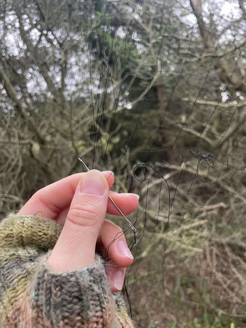 555923147 1535669444232580 4422201709064529576 n