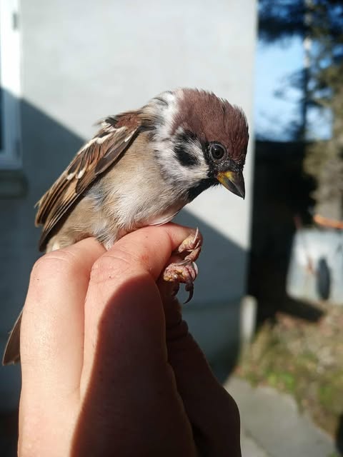 564606651 1310775840494985 5154396461403741740 n