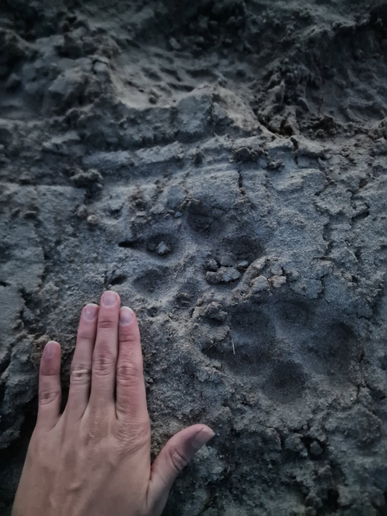 566544327 1543233930461273 901959327289840282 n