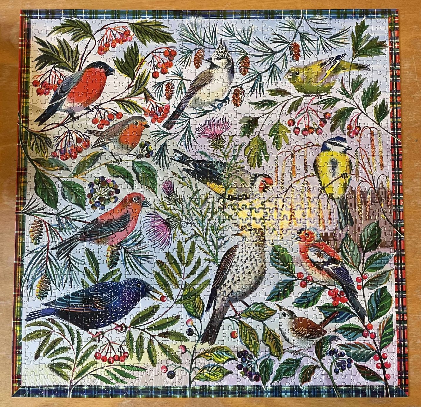 566610108 706941695134510 5834367417020594551 n