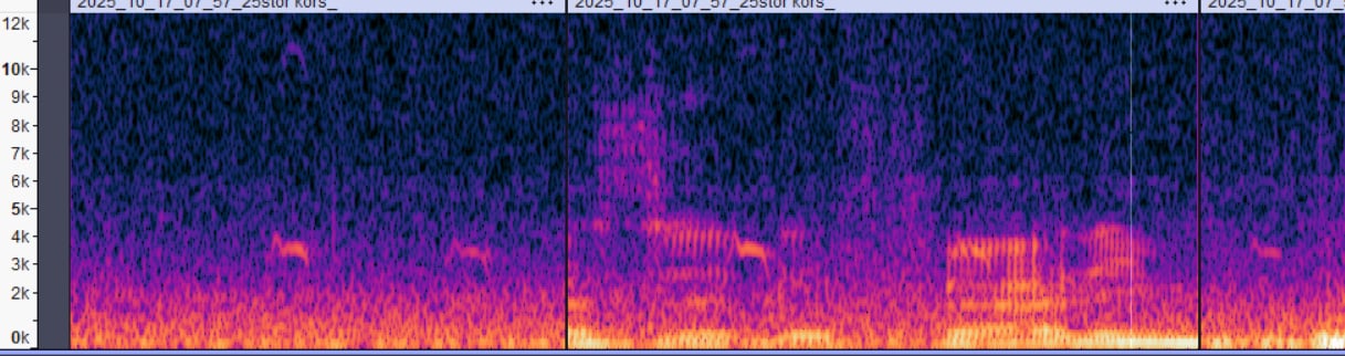 609a165e 150d 47e3 83a5 bf341388c2f0