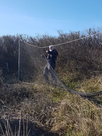 Arbejdsdag. Foto. Bent Jakobsen. 20190310 094540