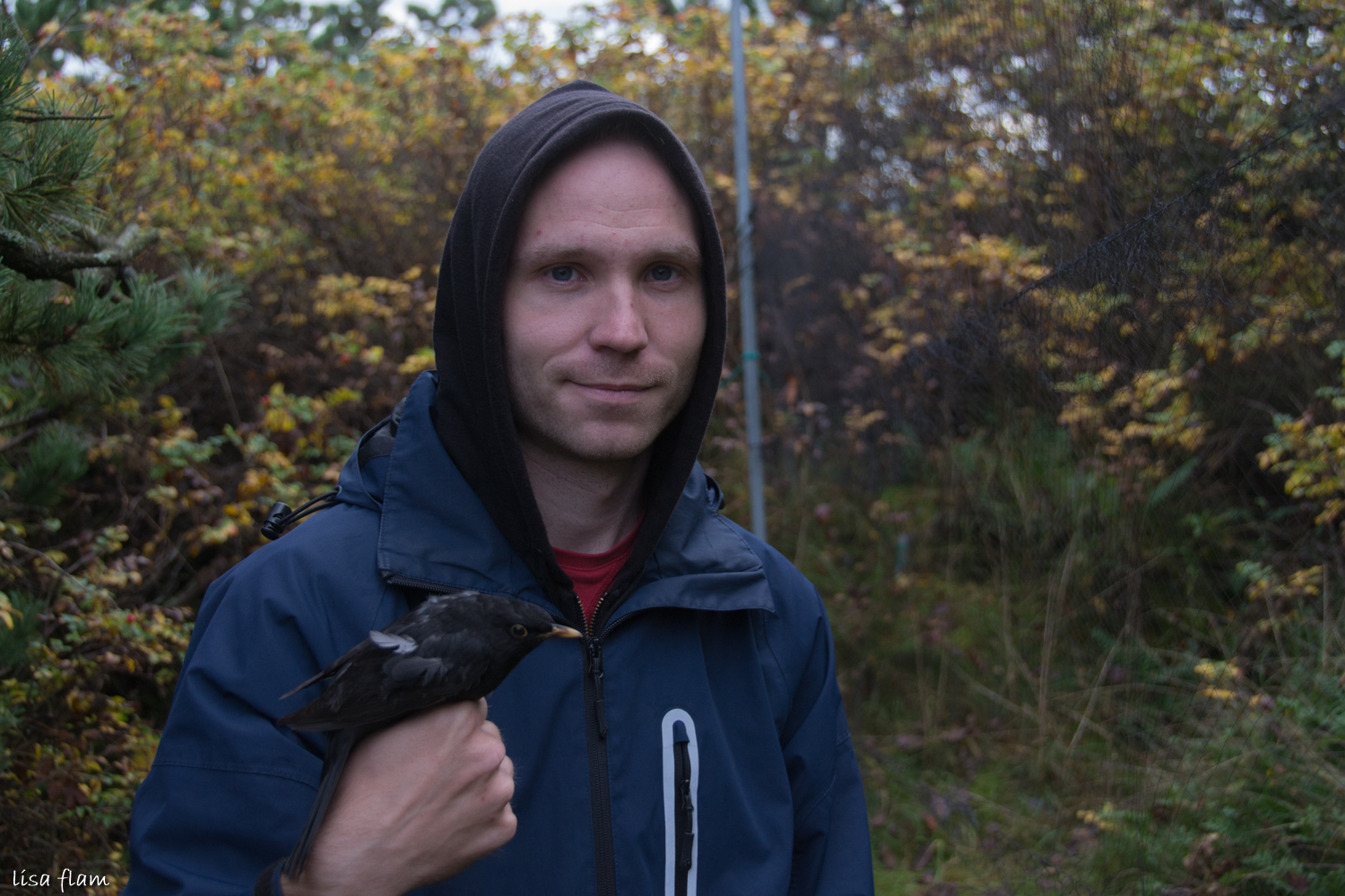 Mathias and Blackbird