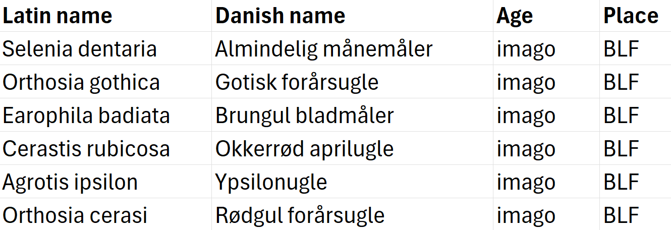 Moth_18-04-25.png