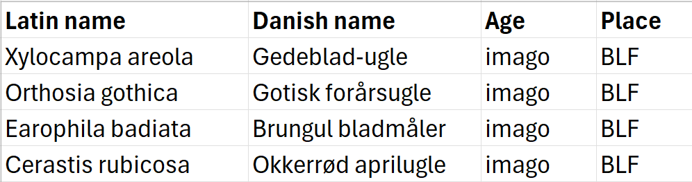 Moths_14-04-2025.png