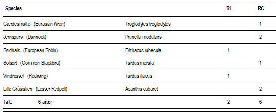 Ringing_09.04.2025.png
