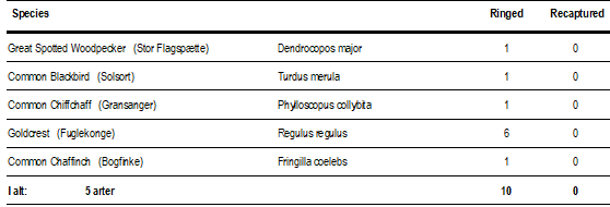 Skærmbillede 2025 10 16 154858