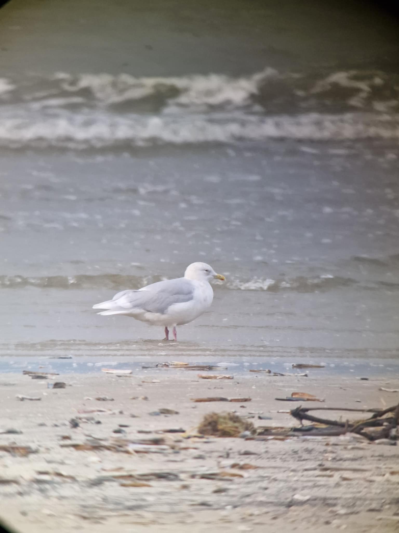 a735dae1 3c00 4d76 b562 be78efad96d5