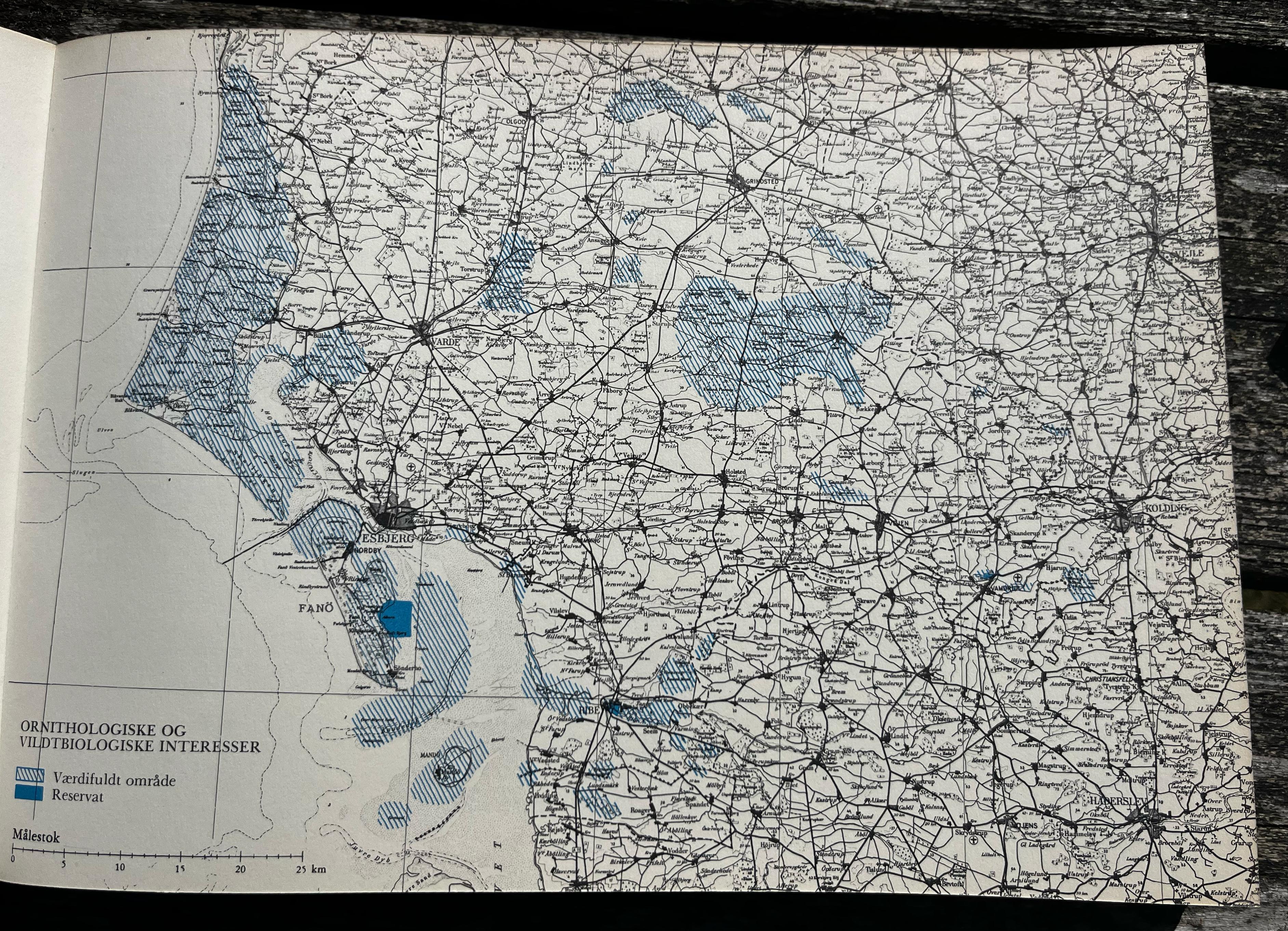 afc7e31c-5ab4-4788-a0c4-60c6be90615b.jpg