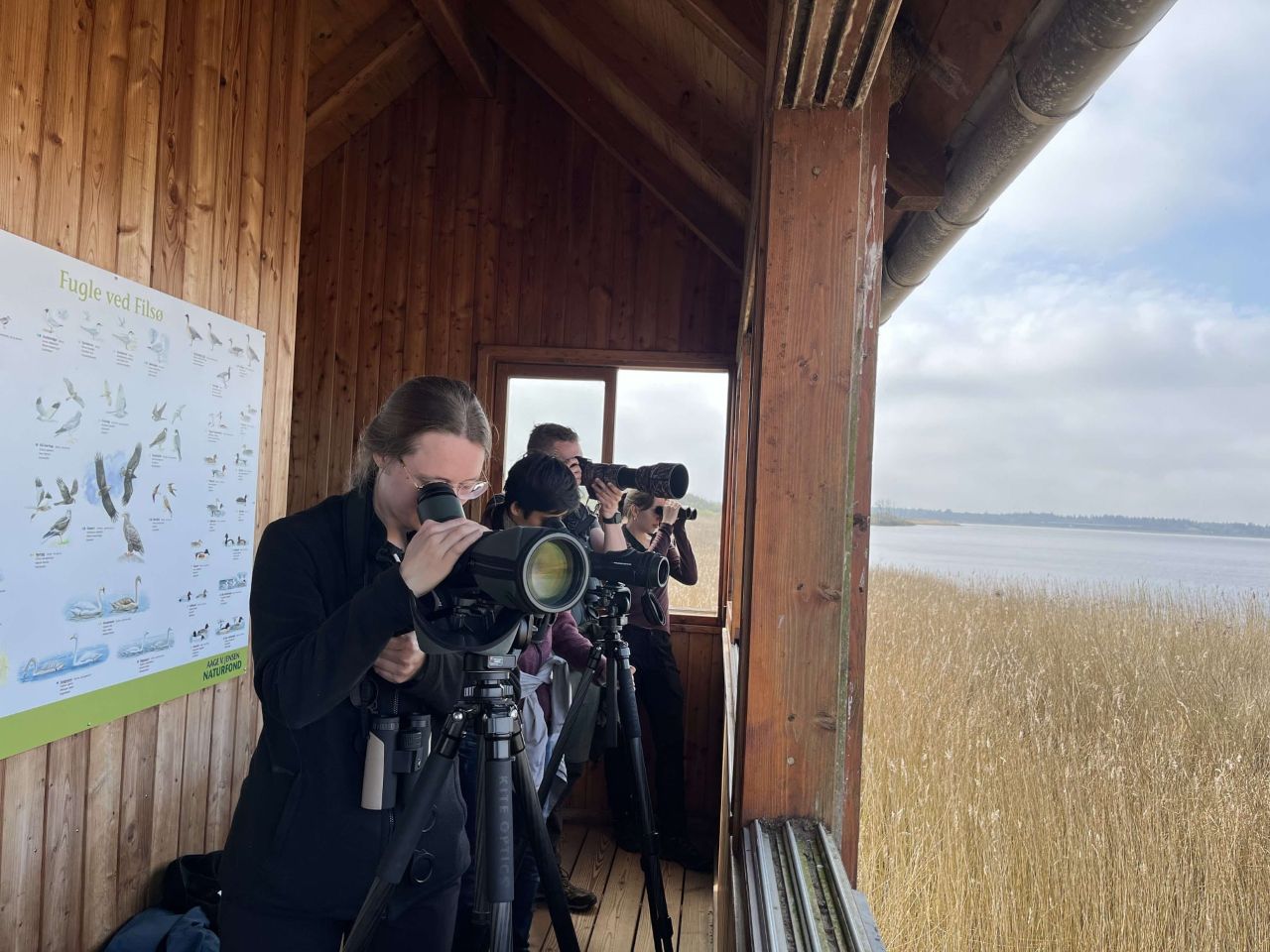 birdwatching_Fildso.jpg