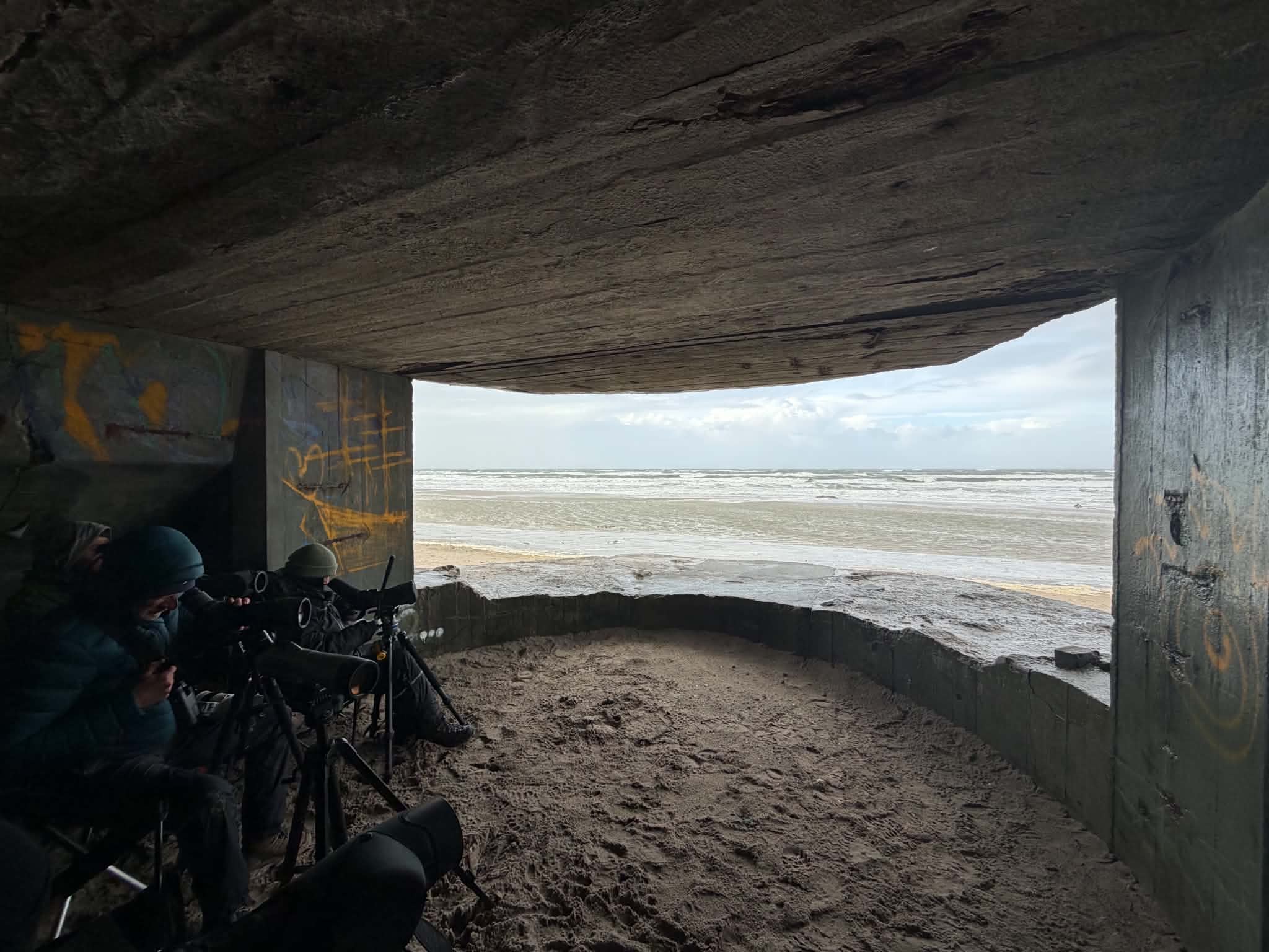 f56b01b5-5411-48e5-a9ea-0b443731c9f7.jpg