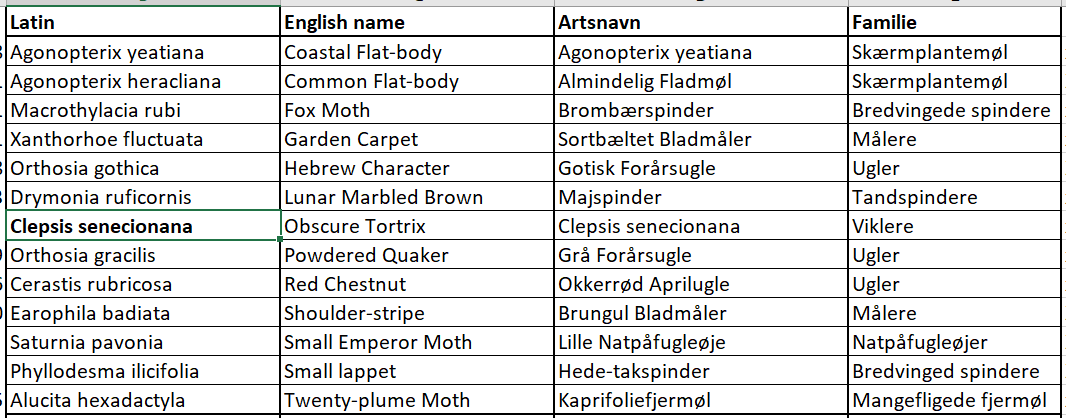 mothtable 03052026