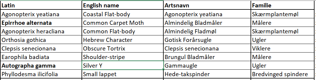 mothtable 05052026