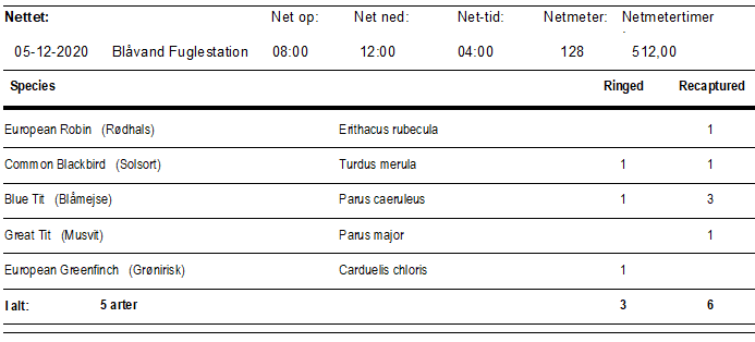 ringmaerket_fugle_d.05.12.2020.PNG