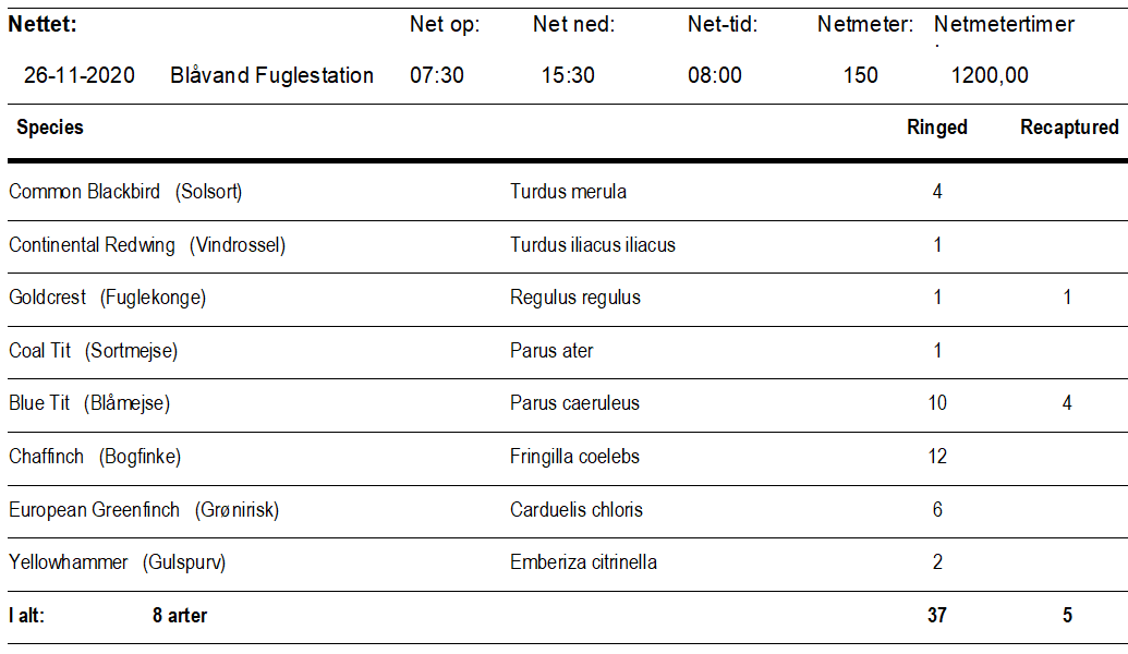 ringmaerket_fugle_d.26.11.2020.PNG