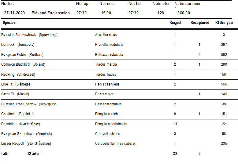 ringmaerket_fugle_d.27.11.2020.PNG