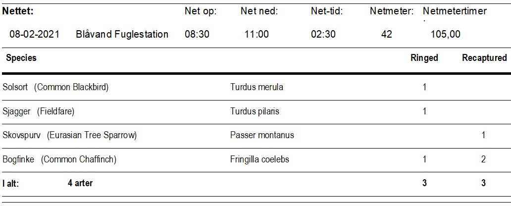 ringmaerkning_d_8feb_2021.jpg